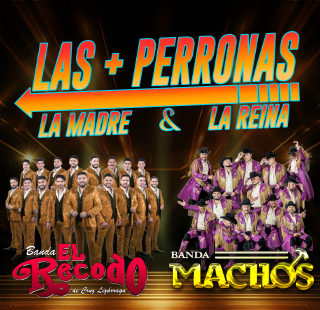 LAS + PERRONAS